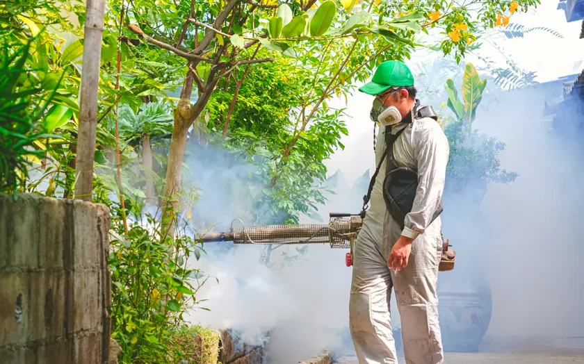 Tratamiento de mosquito tigre en Barberà del Vallès — PlagaZero